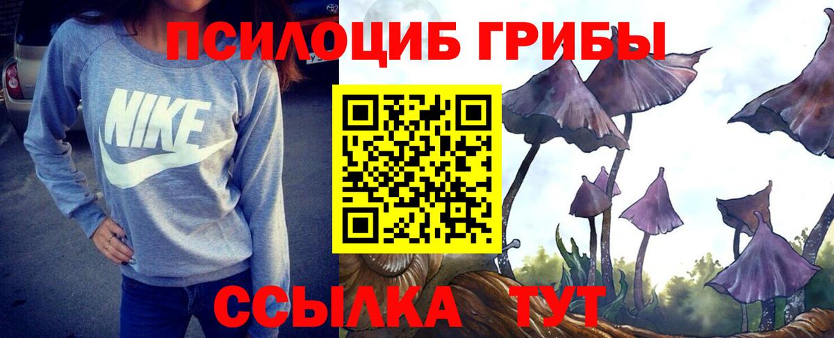 Галлюциногенные грибы Magic Shrooms Дубна