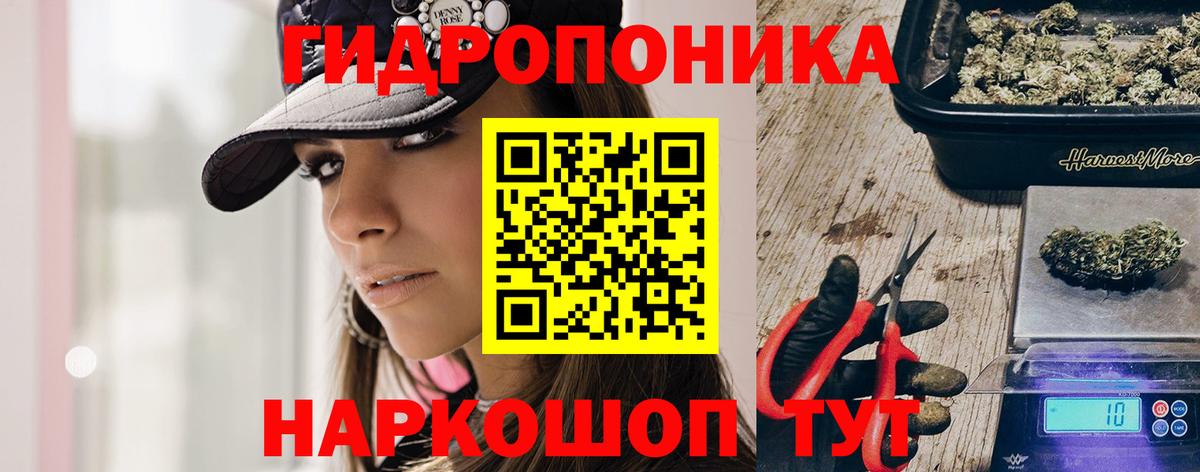 Каннабис планчик Дубна